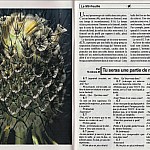 Mil-Feuille97 04