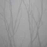 fond ecran 121130 brouillard arbres castet en dorthe